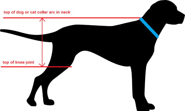 How to measure pet for pet dog or cat door